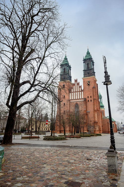 Gniezno, Poznań, Zielona G. - 4 dni